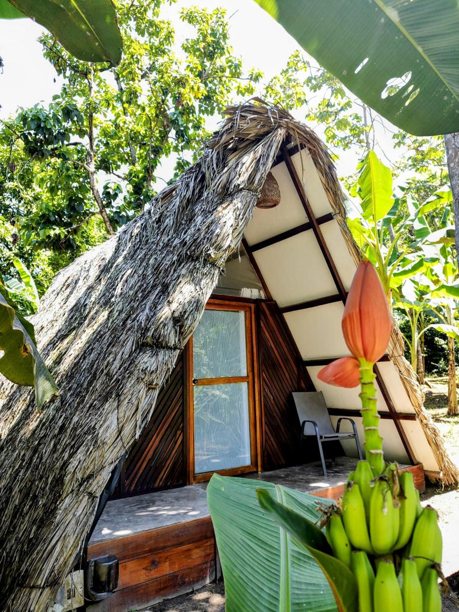 Hotel Jasayma Dentro Del Parque Tayrona El Zaino Exterior photo